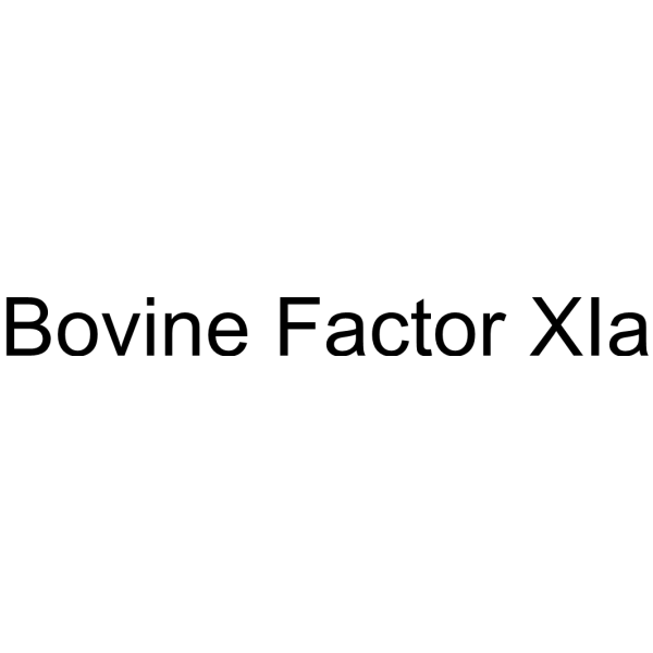 Bovine Factor XIa